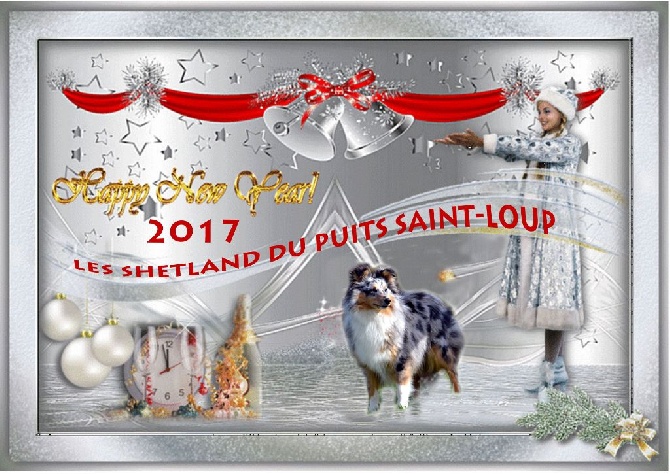 Du puits saint loup - MEILLEURS VOEUX pour 2017