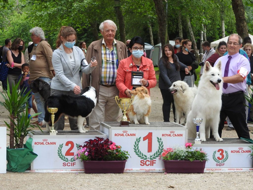 Du puits saint loup - un joli dimanche en expo le 4/07 à Crécy le Chapelle