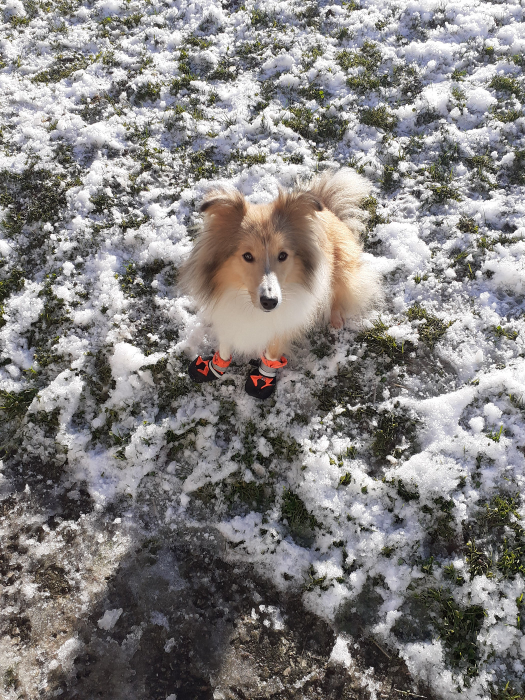 Du puits saint loup - des nouvelles de Naty dite Plume
