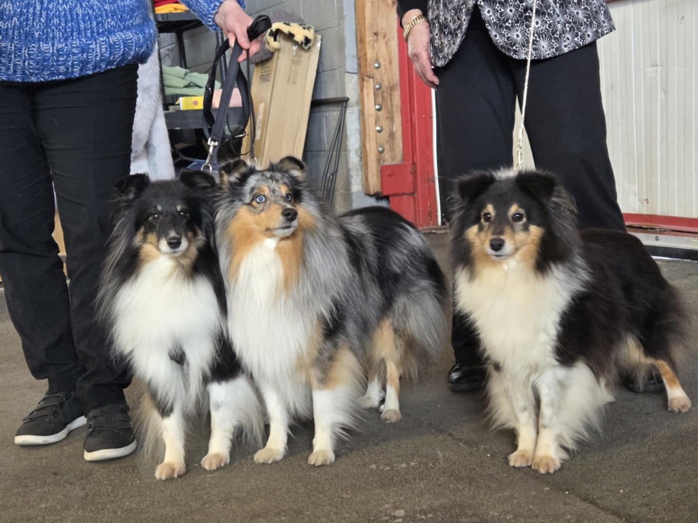 Du puits saint loup - exposition d' Amiens le 14 février