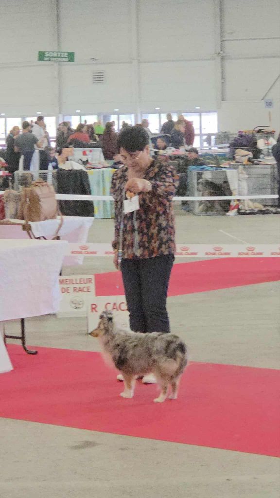 Dernière expo de l'année 2025 : Metz