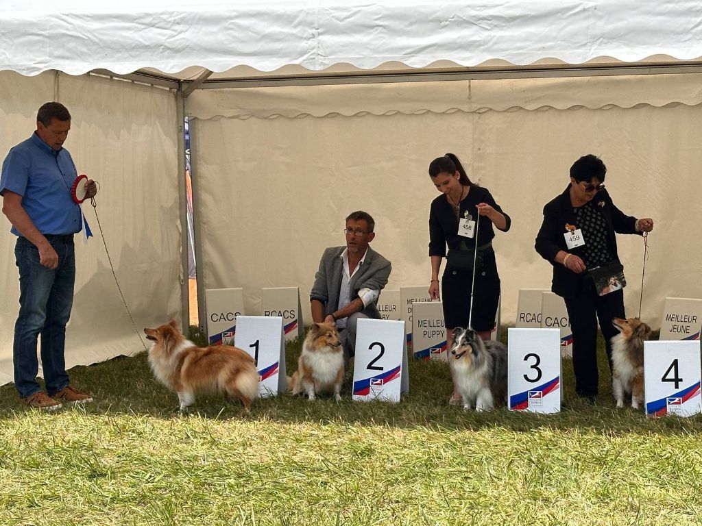 Du puits saint loup - 2 jours d'expo à Dijon dont le championnat de France