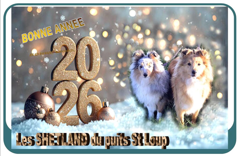 Du puits saint loup - Bonne année 2026 à tous et à mes petits Loups dans leurs familles